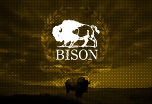 POPclub BISON ビゾン