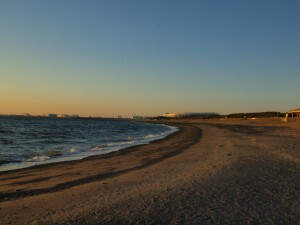 幕張海浜公園　-makuhari kaihin park- マクハリカイヒンコウエン
