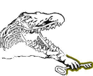 CROCODILE クロコダイル