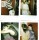 FRIEND SHIP