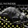 SMALLWONDER…releaseyouranimal　feat CANALIZE
