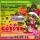 Sam&Dave2 Presents COYOTE  -2008 FINAL COYOTE-