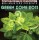 BrainBusters Presents: GREEN ZONE 2011